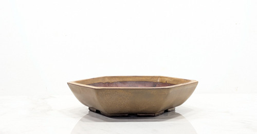 Topaz hexagon 20cm dish - hexagon,